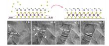 MoS 2 -OH Bilayer-Mediated Growth of Inch-Sized Monolayer MoS 2 on ...