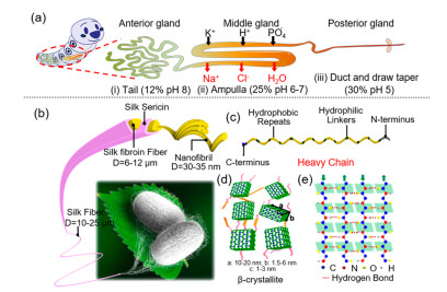 Silk Materials for Intelligent Fibers and Textiles: Potential, Progress ...