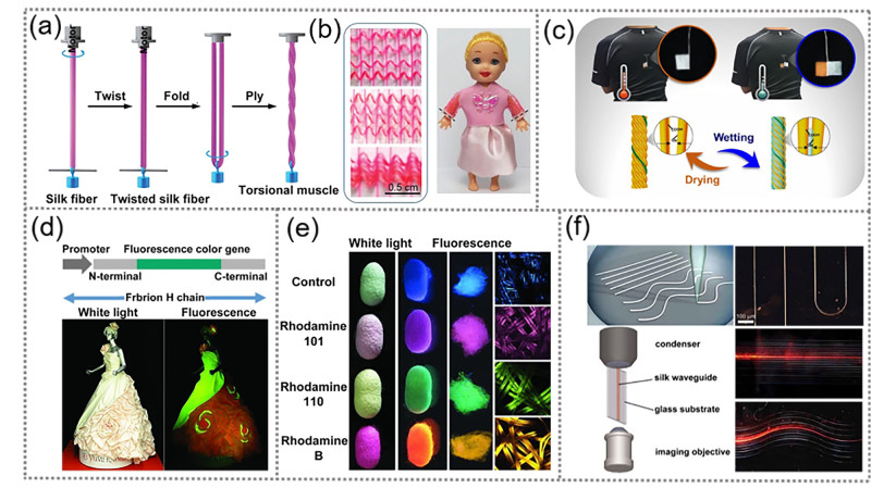 Silk Materials for Intelligent Fibers and Textiles: Potential, Progress ...