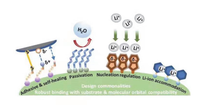 Perspective on the Application of Self-Assembled Monolayers in Batteries