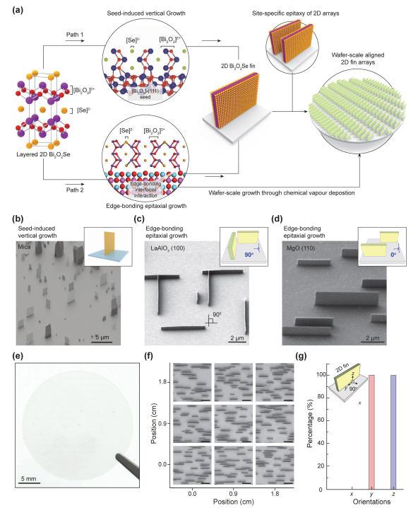 Chemical Vapor Deposition Growth of High-Mobility 2D Semiconductor Bi 2 ...