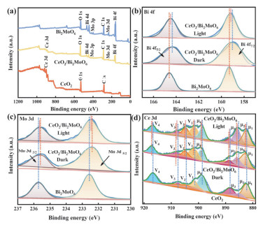 Rational Design of S-Scheme CeO 2 /Bi 2 MoO 6 Microsphere ...