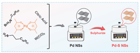 Surface Sulfur Species Influence Hydrogenation Performance of Palladium ...