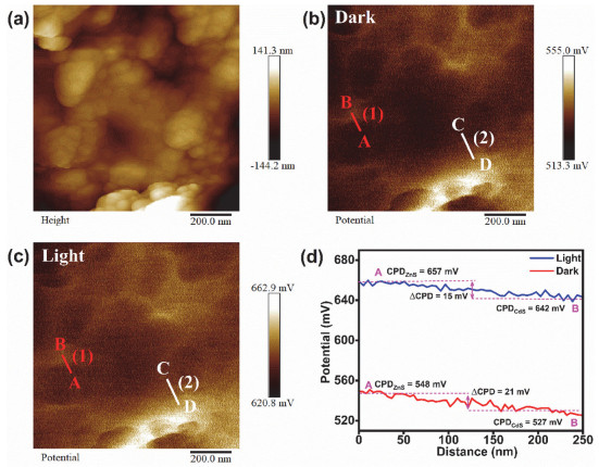 Double S-Scheme ZnS/ZnO/CdS Heterostructure Photocatalyst