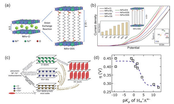 Use of NiFe Layered Double Hydroxide as Electrocatalyst in Oxygen ...