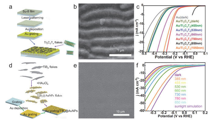 Regulating HER and OER Performances of 2D Materials by the