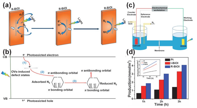 Engineering Multiple Optimization Strategy on Bismuth Oxyhalide