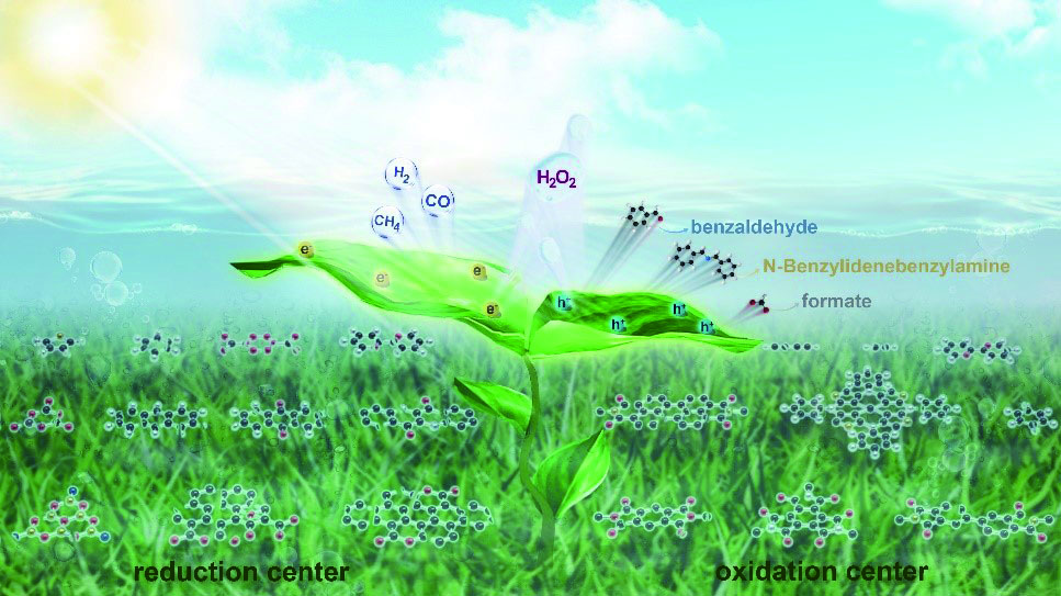 Semiconducting Polymers for Photosynthesis of H<sub>2</sub>O