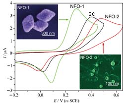Functionalized Nanomaterial Assembling and Biosynthesis Using the