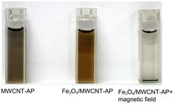 Enhancing the Catalytic Activity of Peroxidase by Adsorption