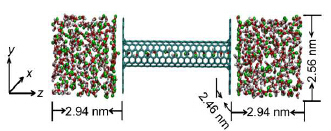 Molecular Dynamics Simulation Study of Structural and
