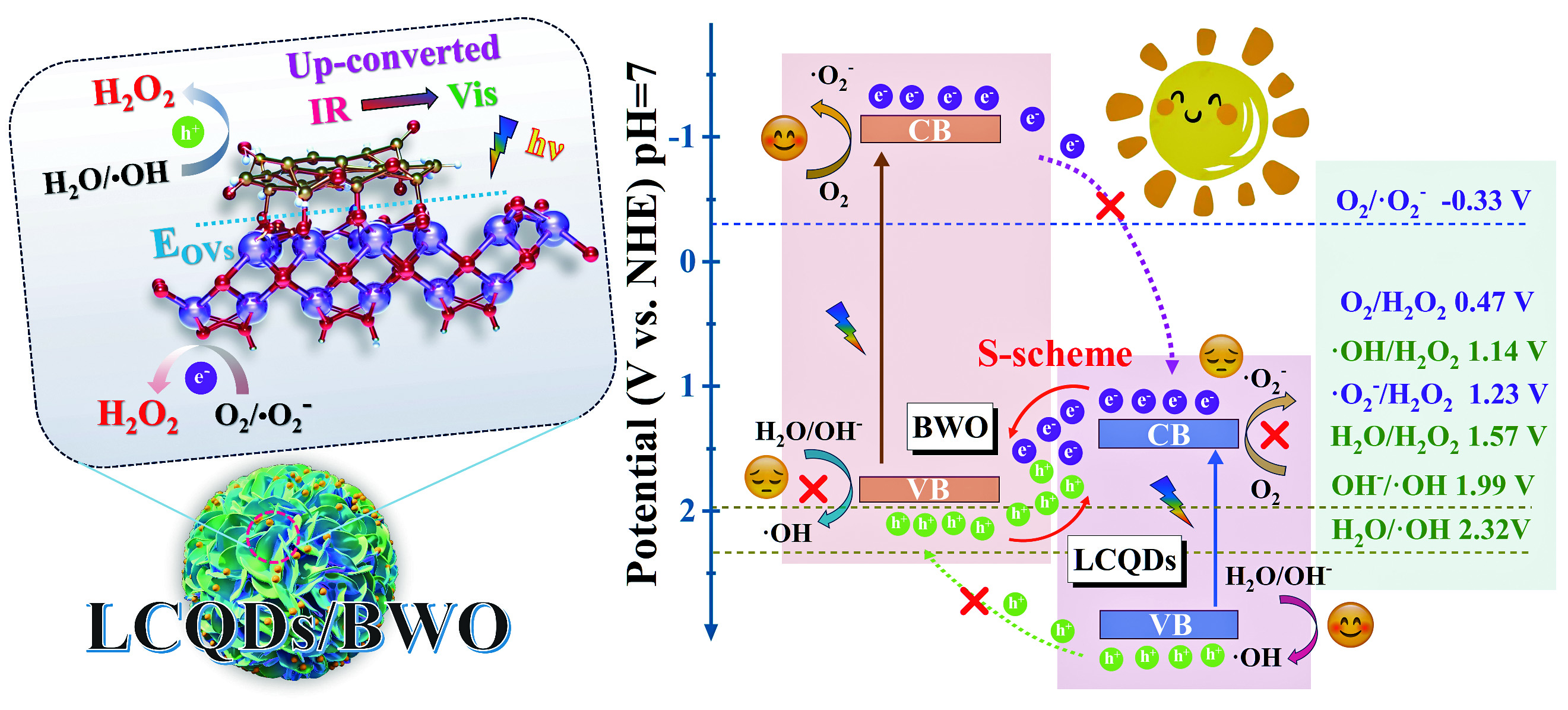 F Y様 Lignin derived carbon quantum dots and oxygen vacancies