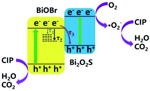 Rapid charge transfer endowed by van der Waals S-scheme heterojunction ...