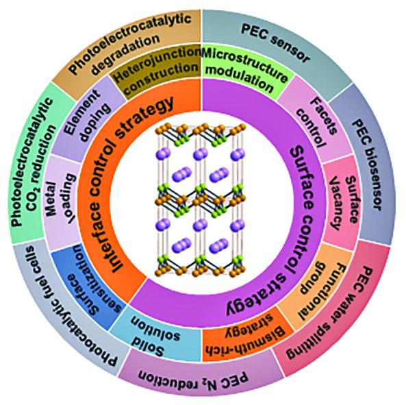 Engineering Multiple Optimization Strategy on Bismuth